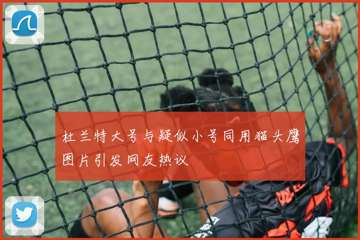杜兰特大号与疑似小号同用猫头鹰图片引发网友热议