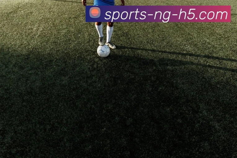 App Interface Preview