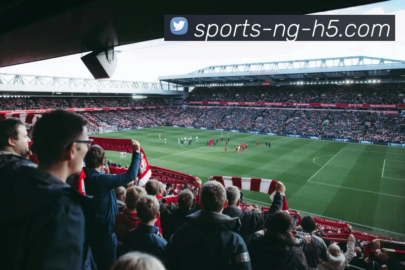 南宫体育APP 封面图